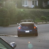 SmugMug > keywords > bug > RED! photo