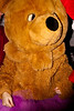SmugMug > keywords > awesome > Girl in the awesome bear outfit 3 - 12-12-2009
